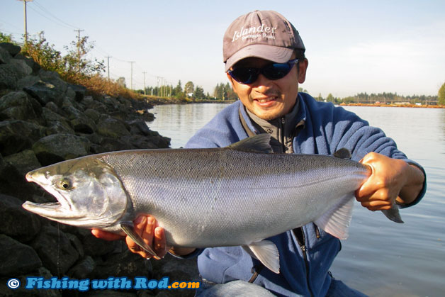 Tidal Fraser River coho salmon