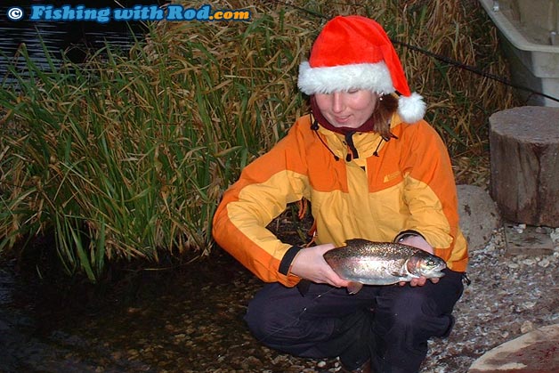 Rainbow trout in Danish put and take lake