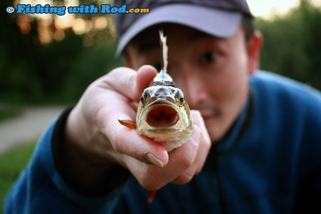 Fishing photography