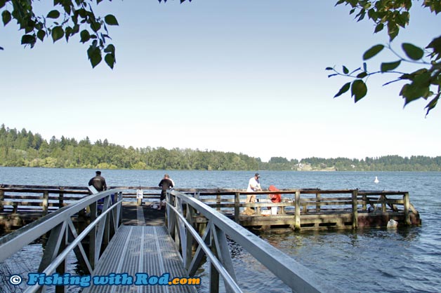 Fishing at Elk Lake on Vancouver Island