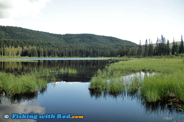 Chicken Ranch Lake brook trout fishing in Kane Valley BC