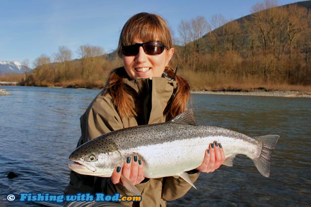 Steelhead fishing in Chilliwack River BC