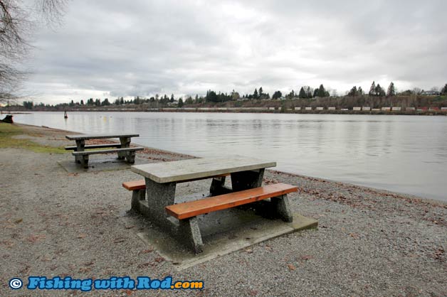 Derby Reach in Tidal Fraser River