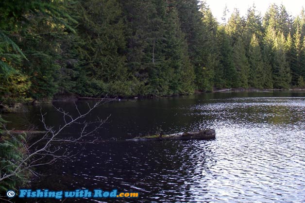 Edith Lake is in Alice Lake Provincial Park