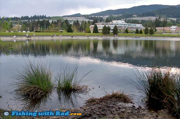 Lafarge Lake in Coquitlam BC