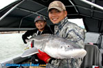 Fraser River white sturgeon