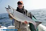 Ocean fresh chinook salmon