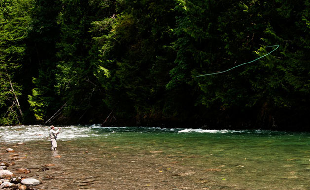 Skagit spey casting