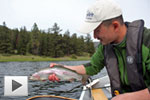 Amazing Trout Fishing at Ruddocks Ranch