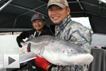 Fraser River Sturgeon, Part One