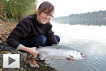 Family Coho Salmon Trip