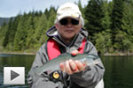 Trout Fishing with Dad