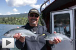 Okanagan Summer Kokanee