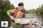 Stamp and Somass River Salmon