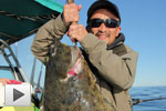 Kyuquot, The Fish Metropolis - Halibut