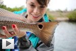 First Florida Inshore Experience